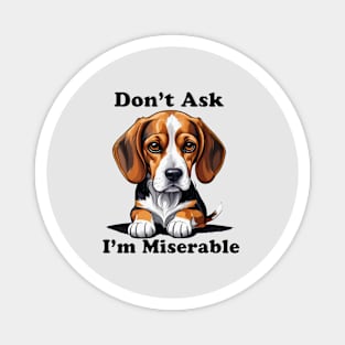 Don’t Ask-I’m Miserable Beagle Magnet